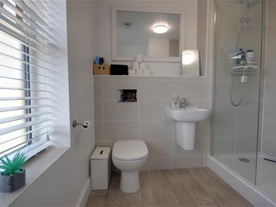 Picture 9